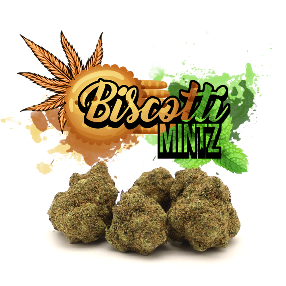Biscotti Mintz Strain  for sale and Buy Biscotti Mintz Strain Online in UK